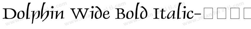 Dolphin Wide Bold Italic字体转换